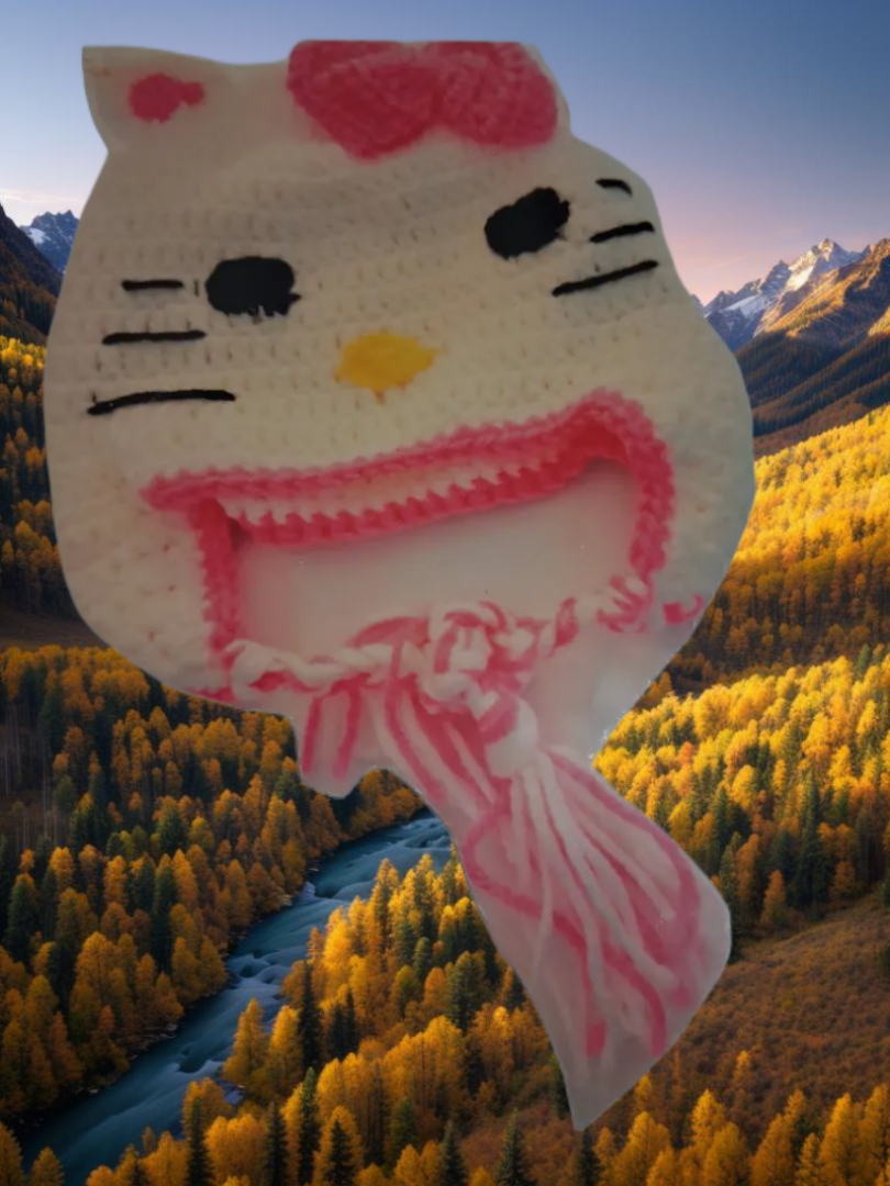 Christmas Santa Hat